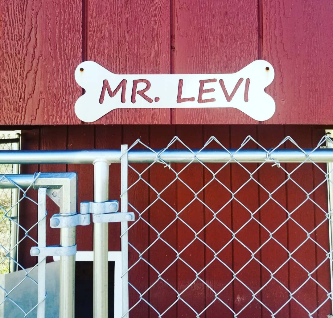 Personalized bone-shaped sign for Mr. Levi.