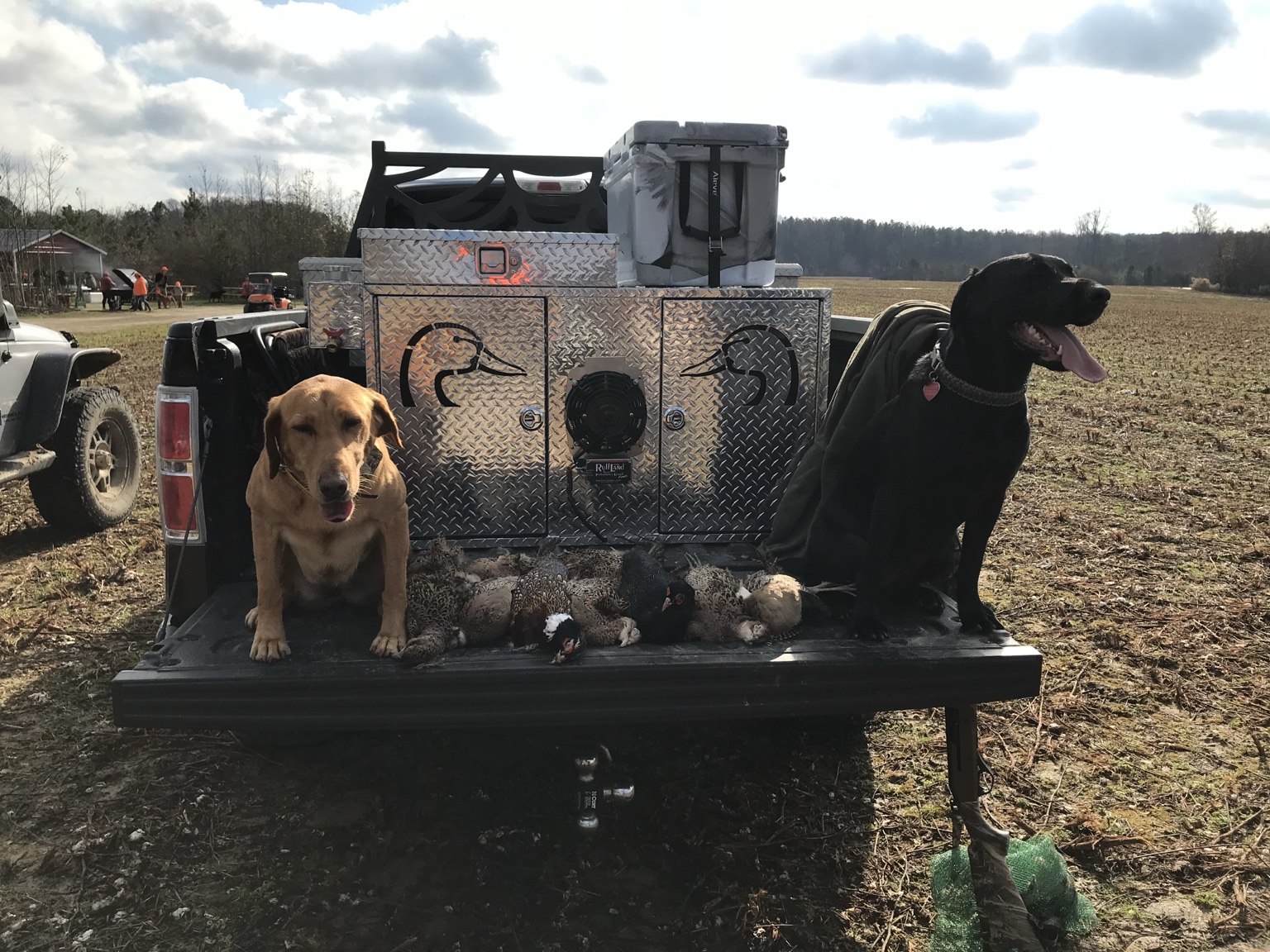 A metal dog box shown in a pickup truck bed.